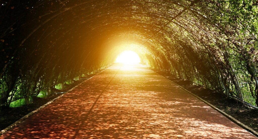 Long tunnel d arbres lumiere au bout du tunnel